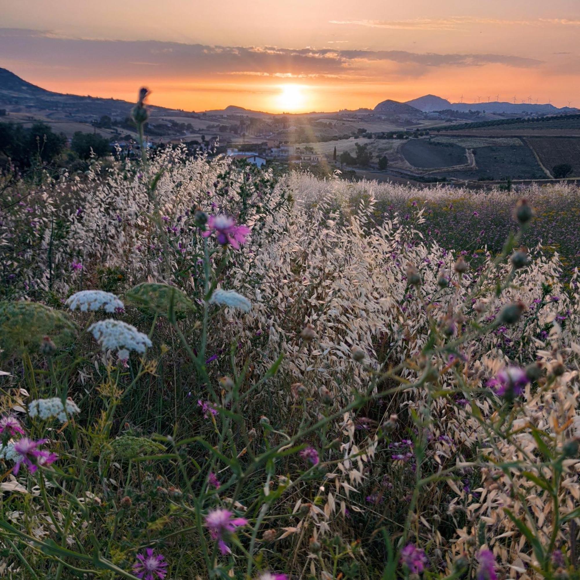 B&B Della Via Francigena Agrigento Esterno foto