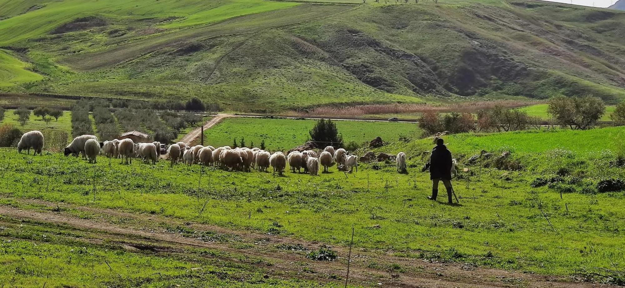 B&B Della Via Francigena Agrigento Esterno foto