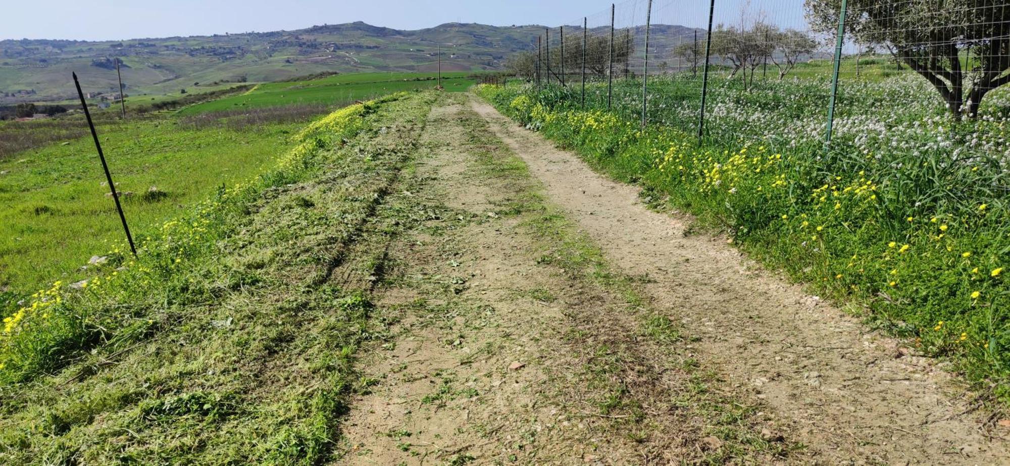 B&B Della Via Francigena Agrigento Esterno foto